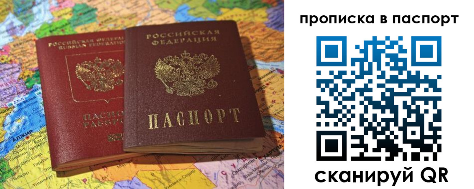 прописка гарантия в Московской области