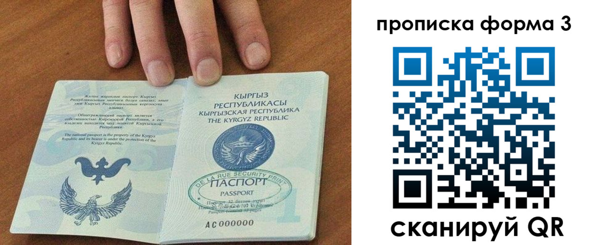 регистрация в Московской области